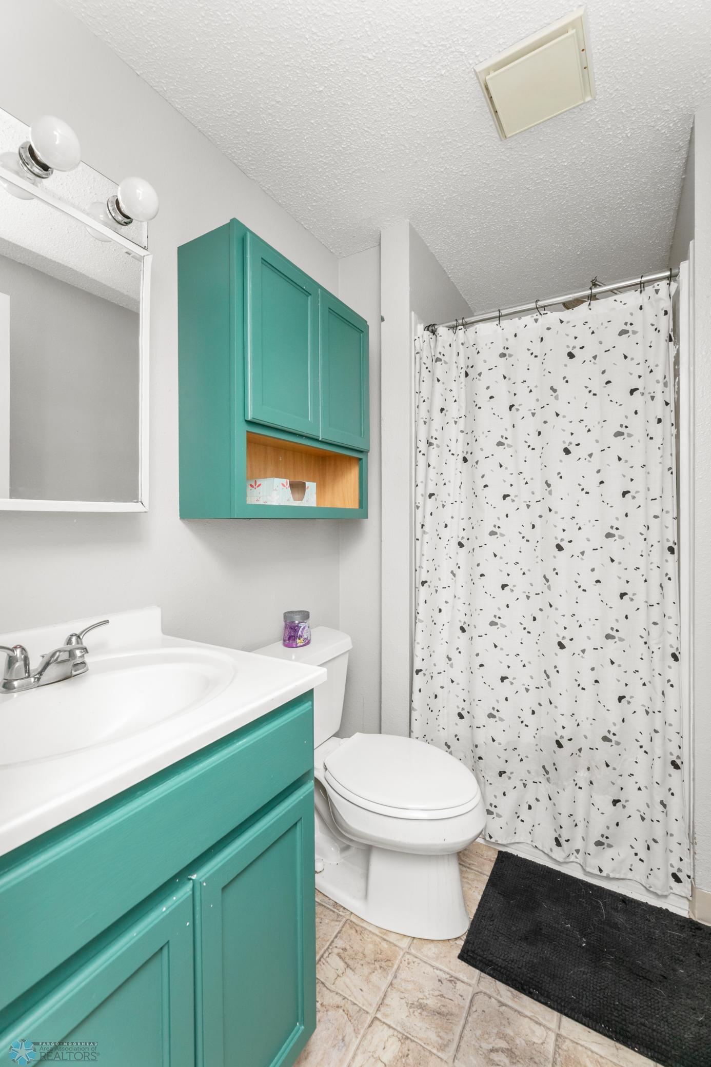 Lower Level Bath