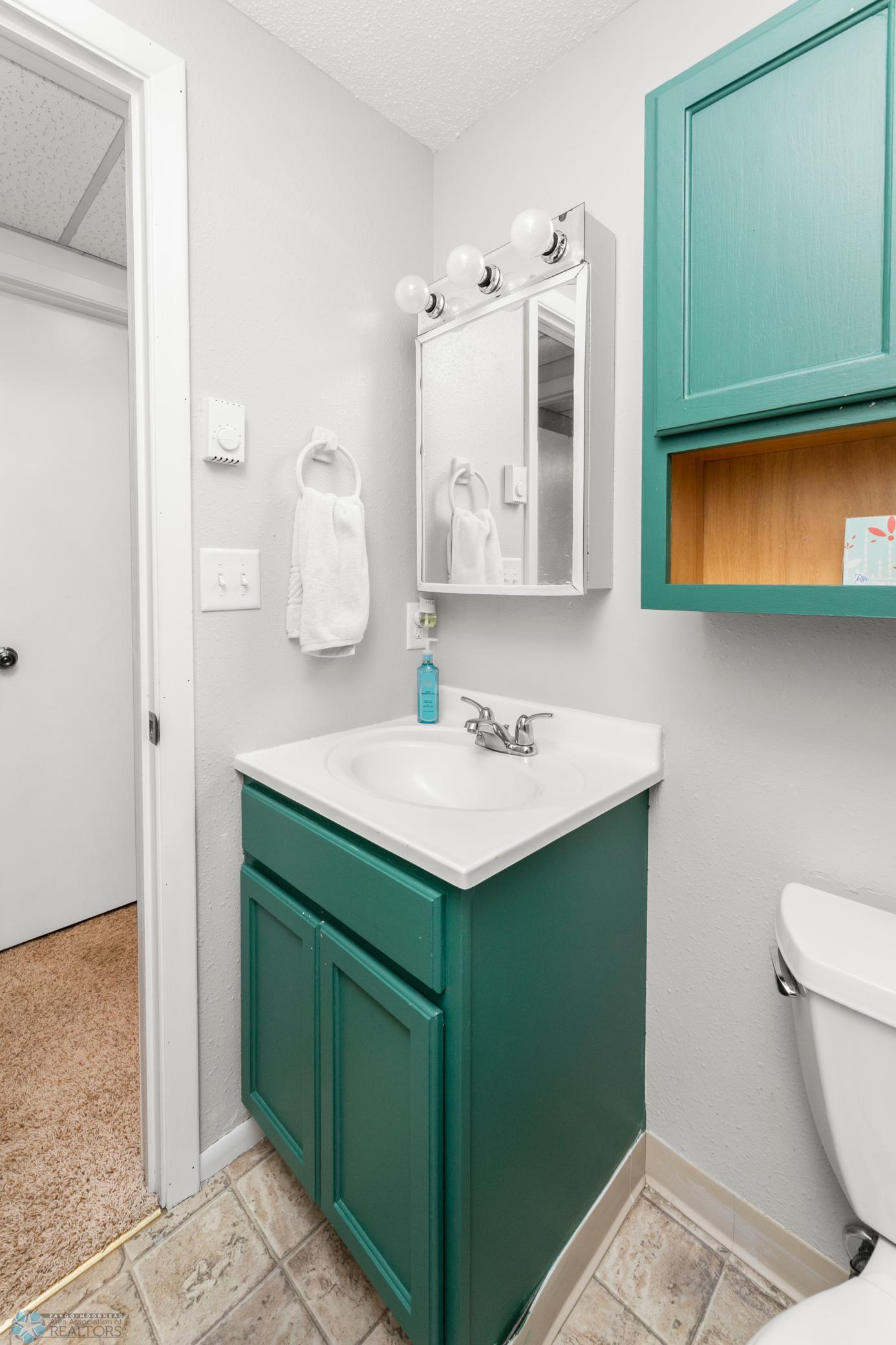 Lower Level Bath