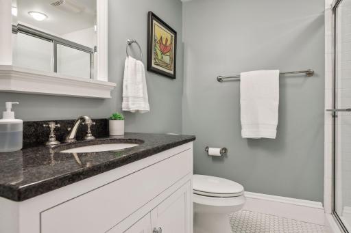 Lower level 3/4 bathroom. Consistent finishes and feel throughout the house.