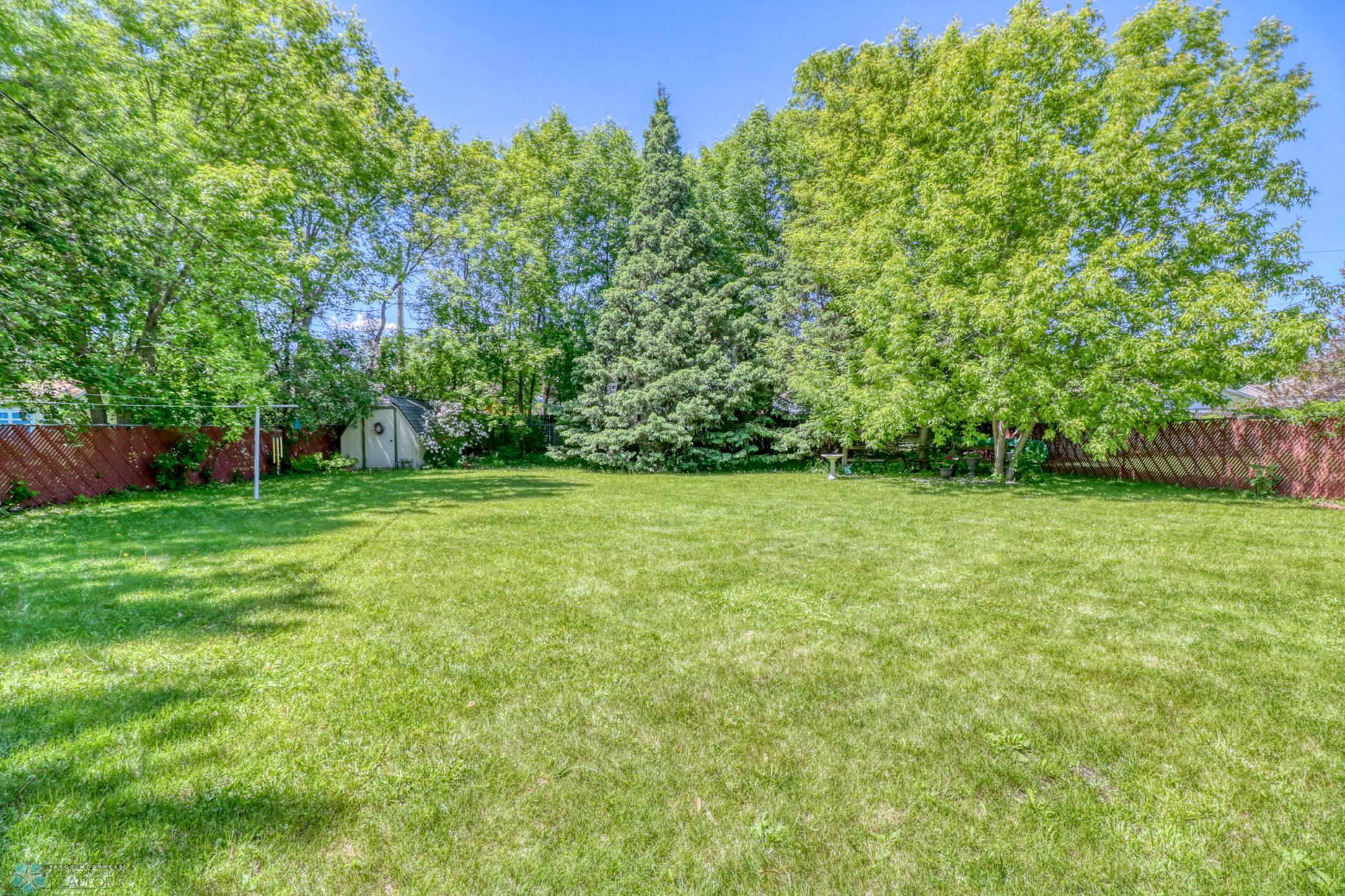 Backyard1_2.jpg