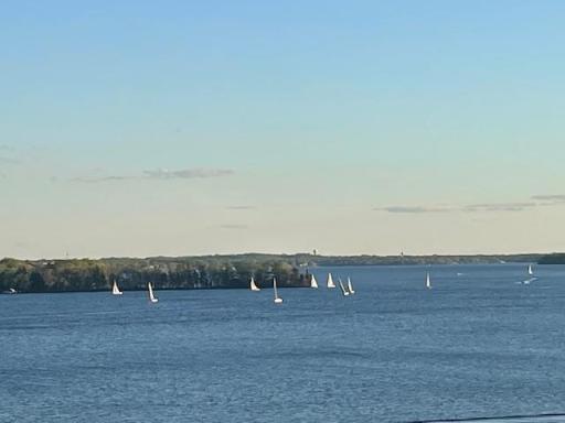 IMG_1224.jpg