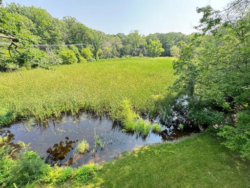 View from the upper deck. Enjoy the baby ducks splashing in the pond.