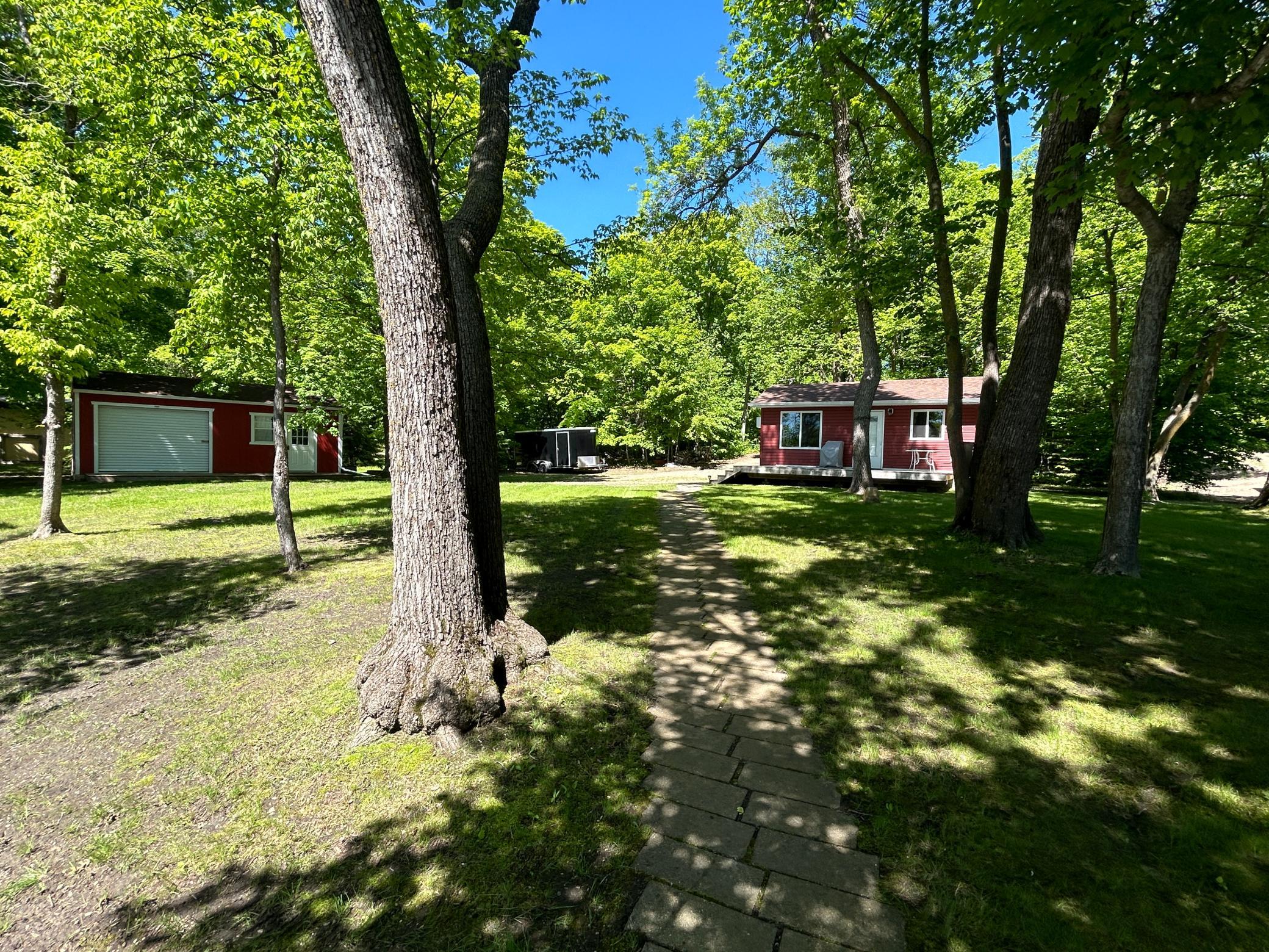 Mature Shade Trees For Hot Summer Days.JPG
