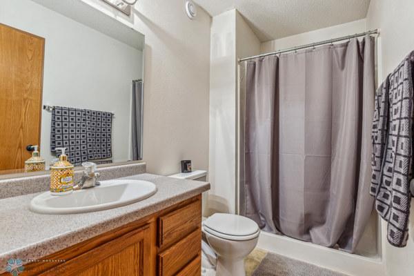 Lower level bathroom