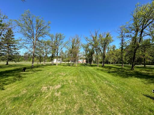 Photo for 31318 County Road 28, Roseau, MN 56751 - Listing #6546670 31318 County Road 28, Roseau, MN 56751