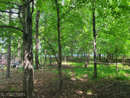 The canopy of leaves will provide shade for the hot summer days along with the cool breezes off the water.