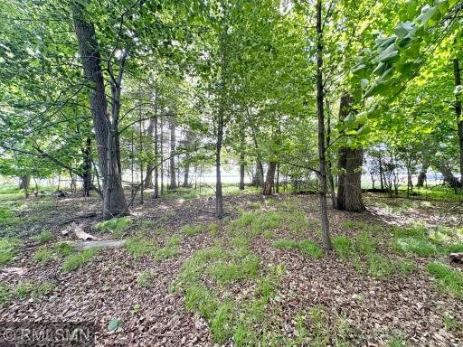 11XXX 103rd Street NW, South Haven, MN 55382