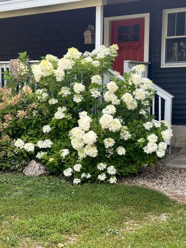Gorgeous flowers bloom around the front porch