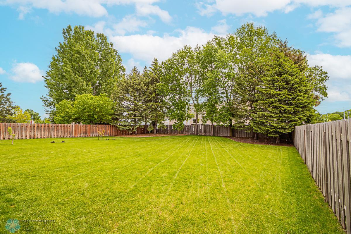 Backyard facing yard