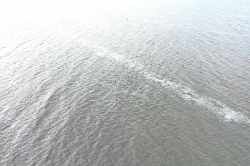 3690 93rd Ave NE, ND 58327