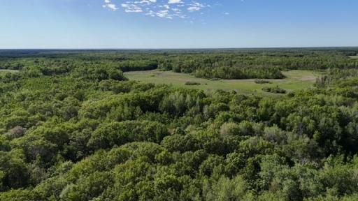 TBD 415th Avenue, Hillman, MN 56338