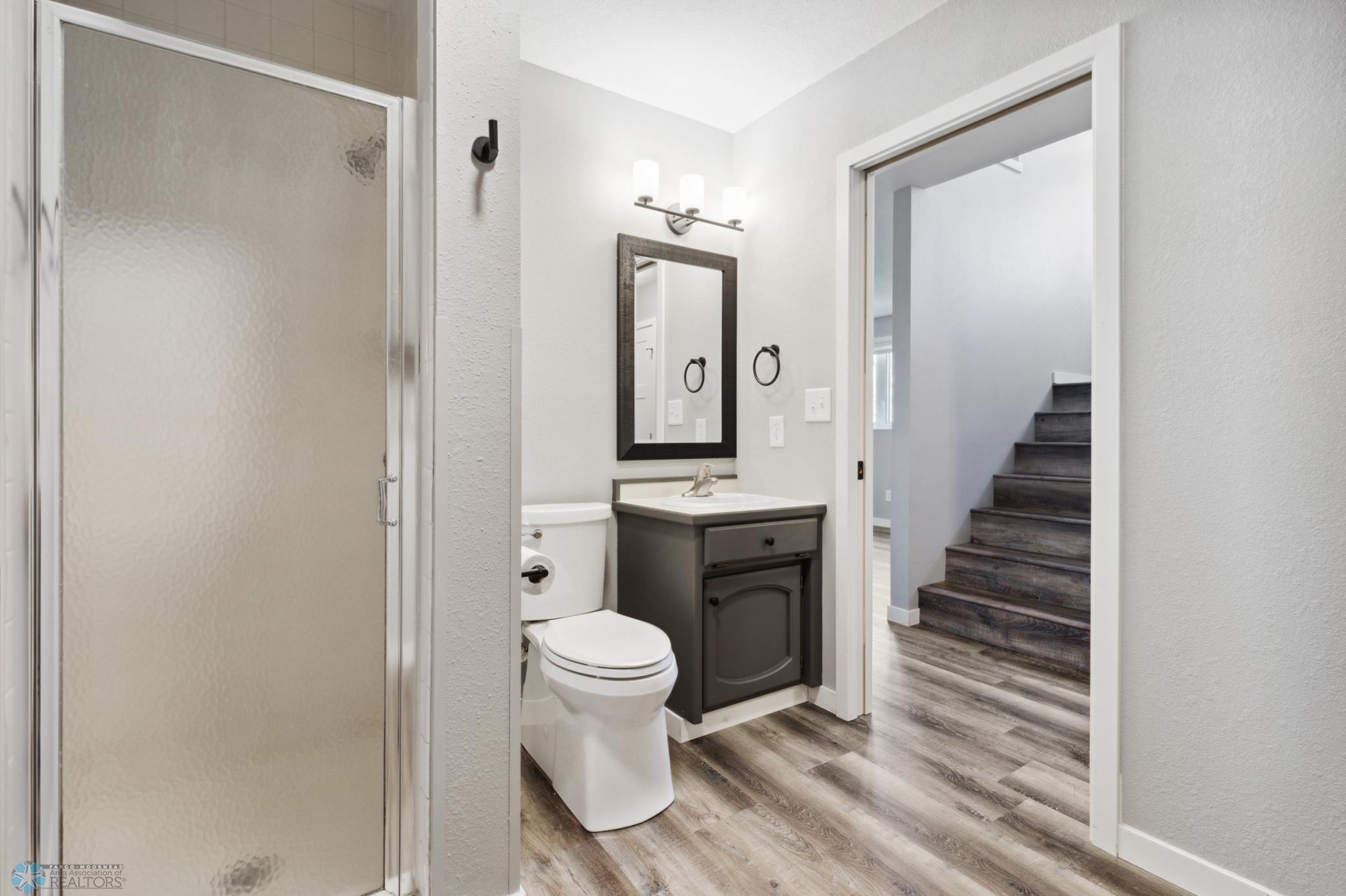 Lower Level Bath with walk in shower