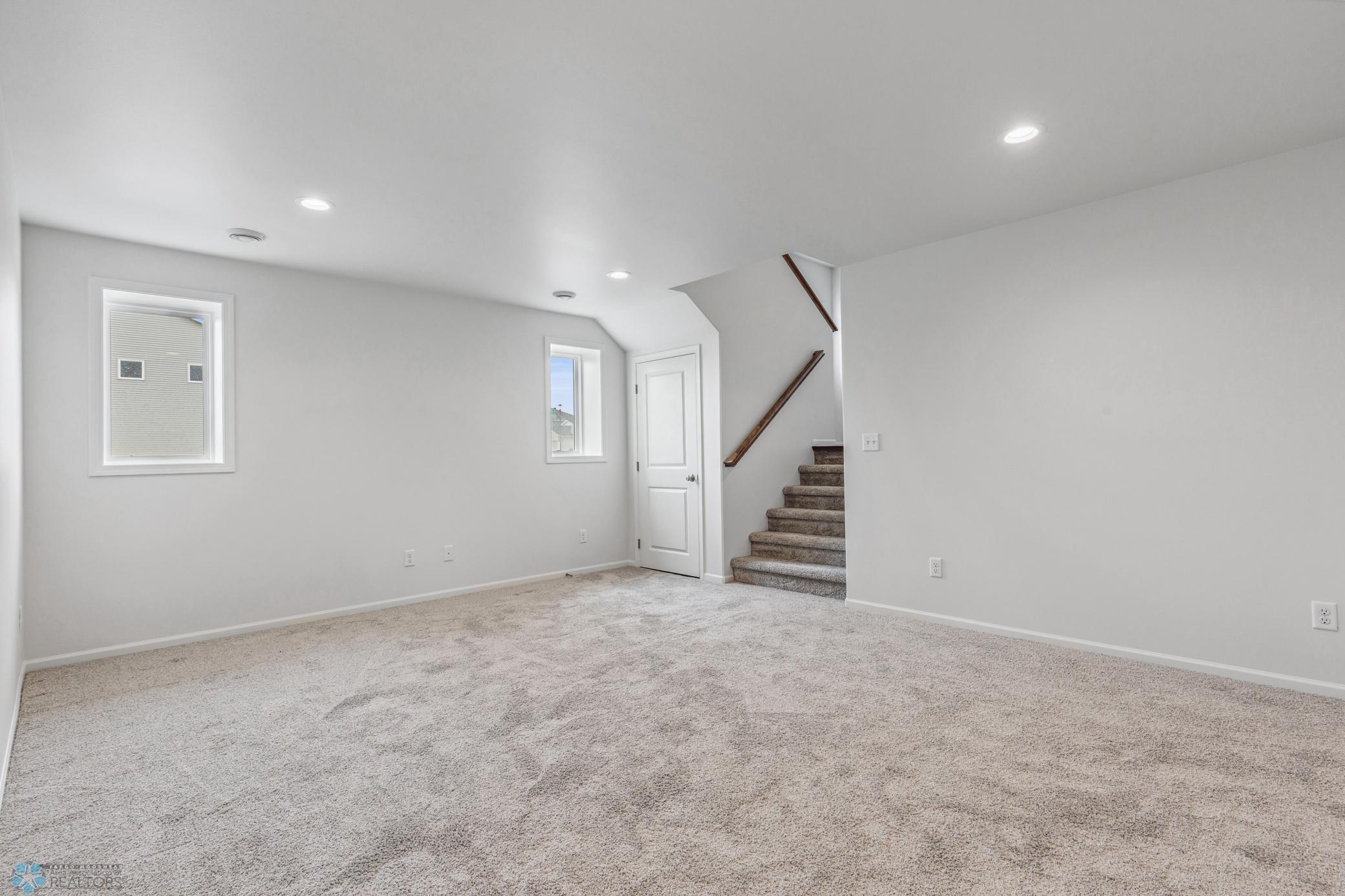 Lower Level Family Room