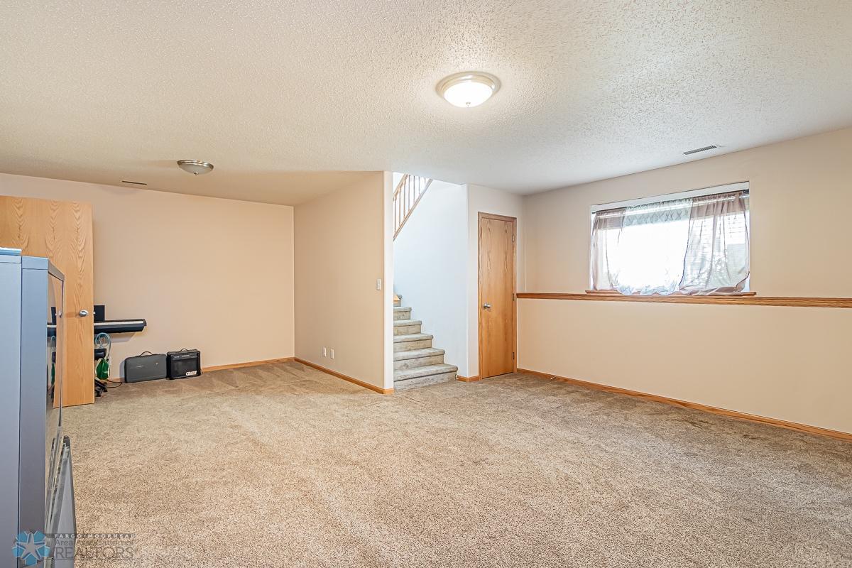 Lower level family room 2