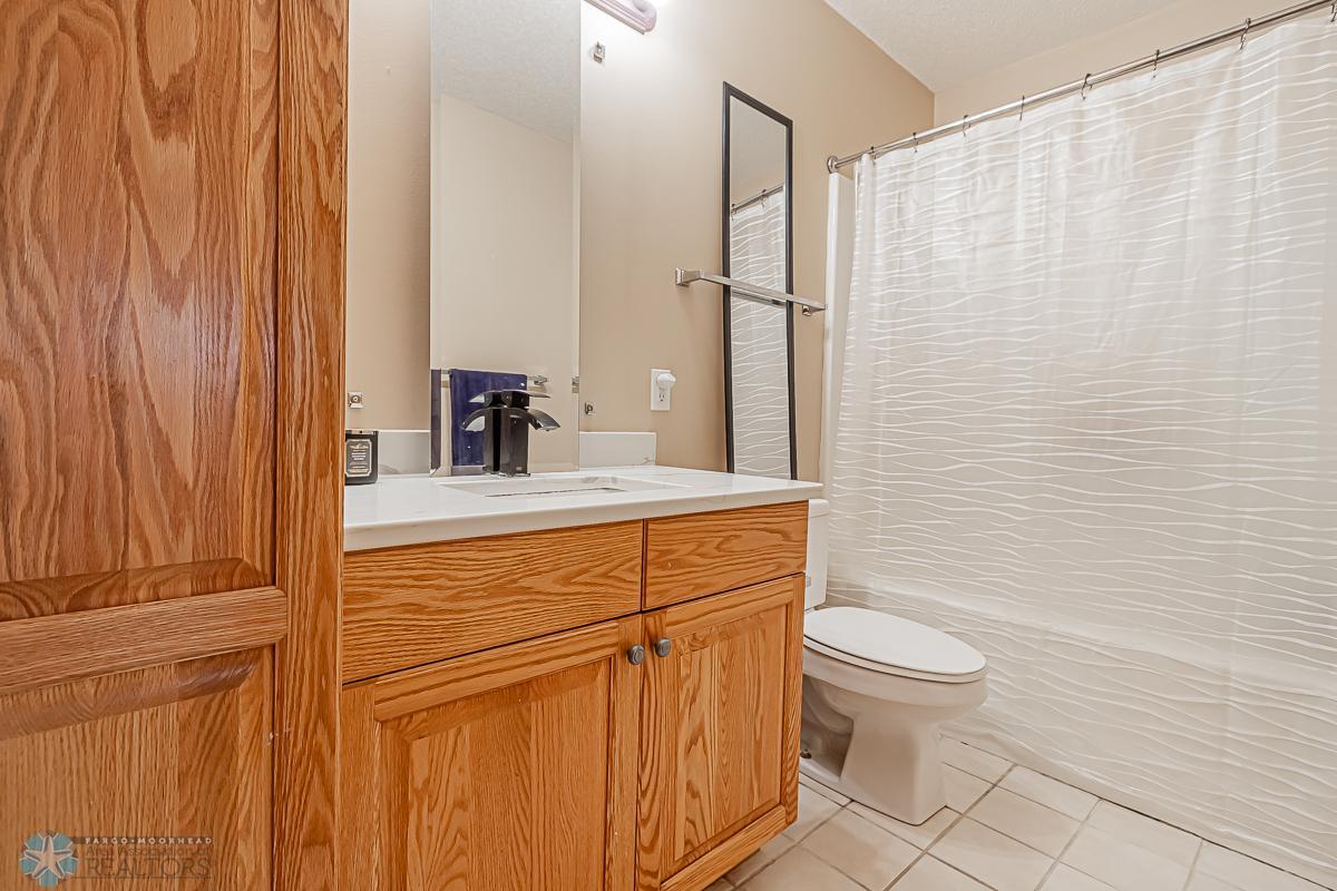 Lower Level Bathroom