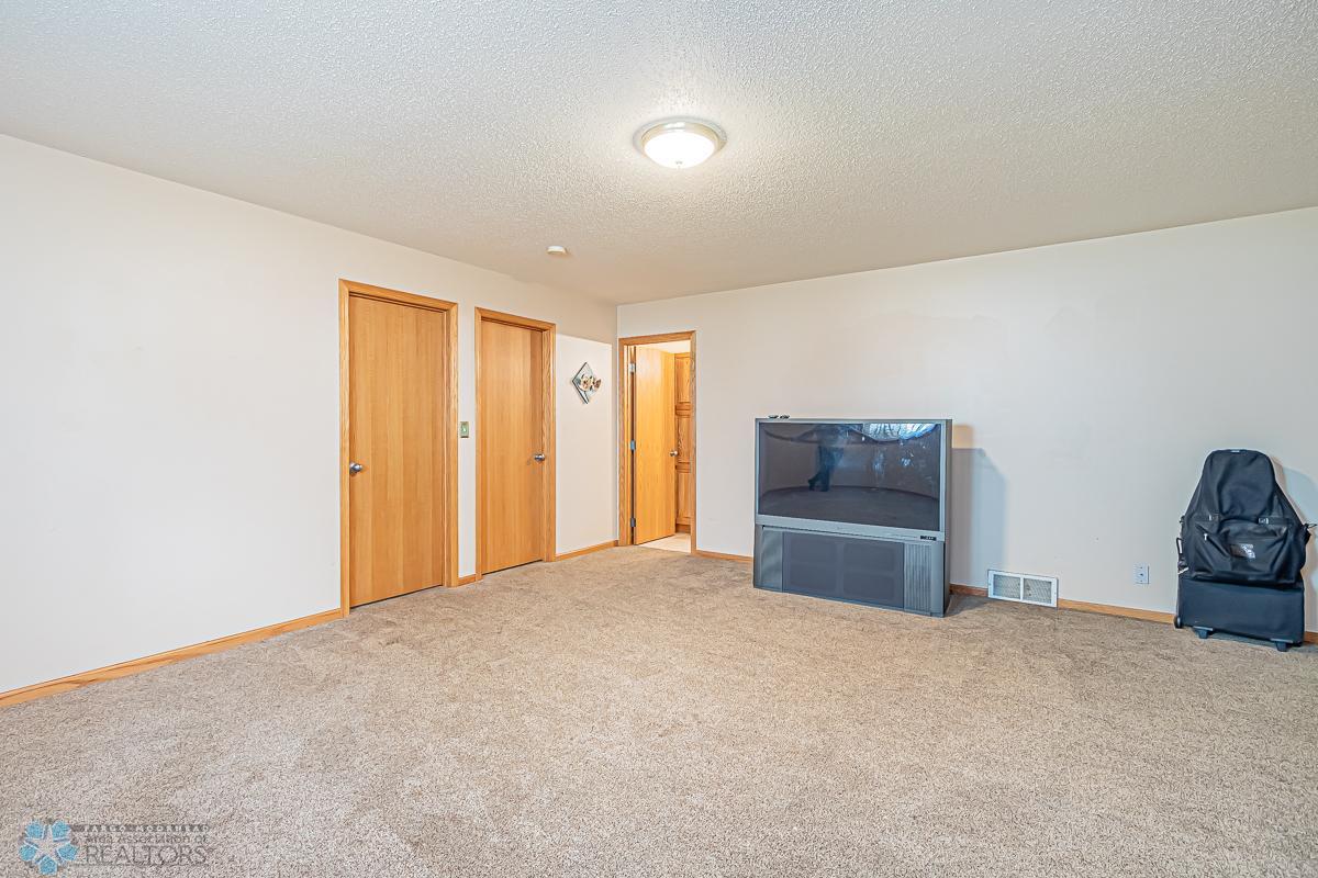 Lower level family room