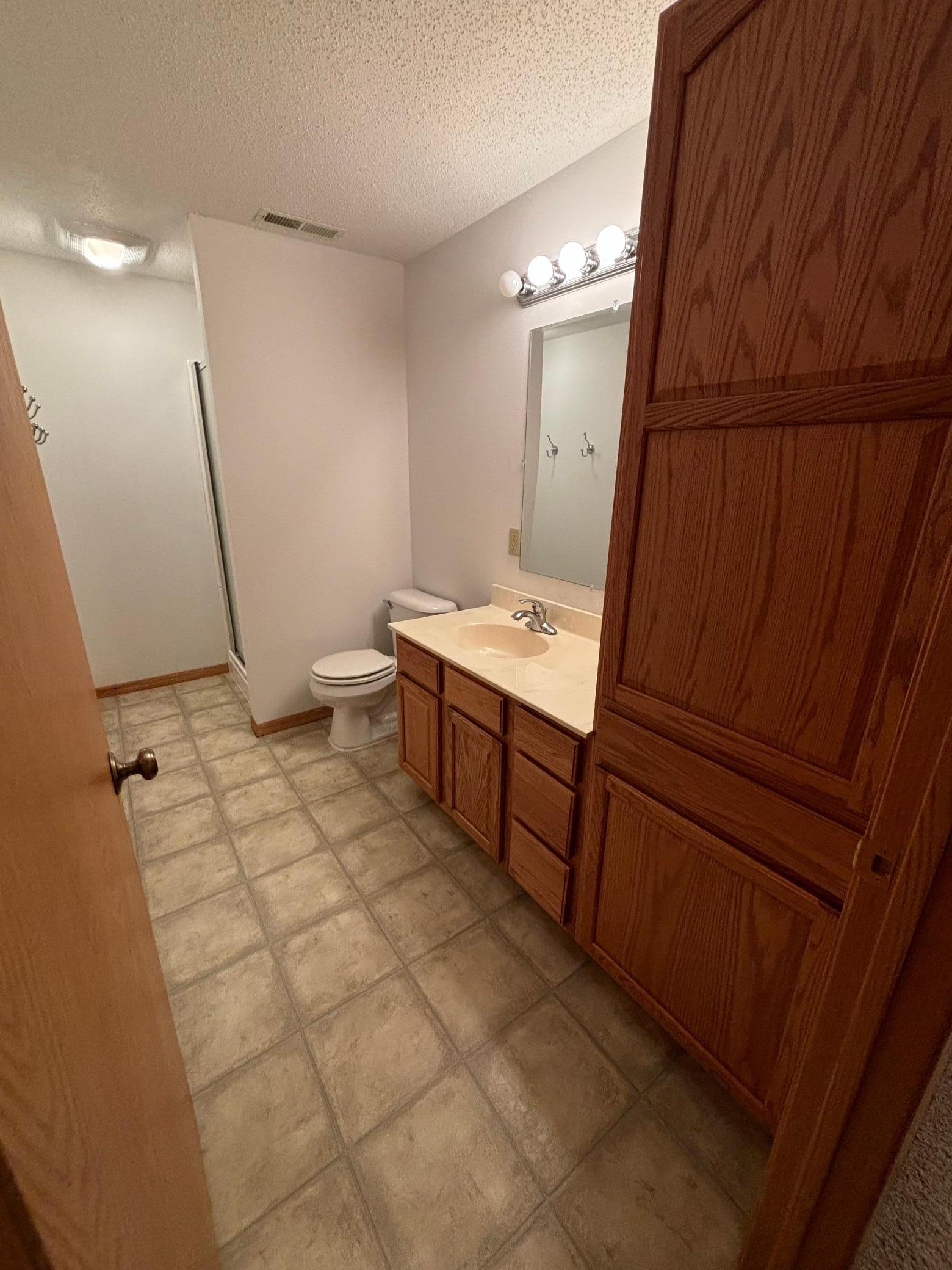 Down Stairs Bathroom