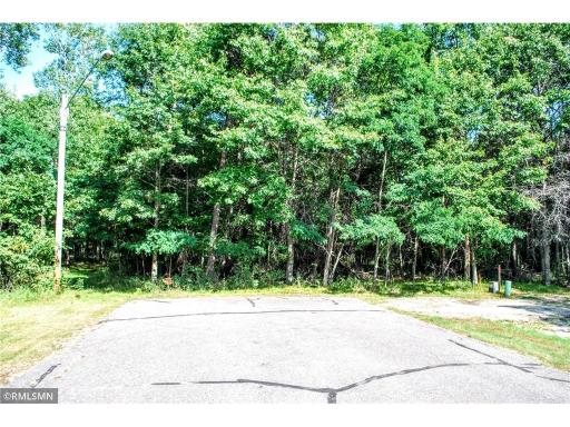 xxx Ninebark Drive, Baxter, MN 56425
