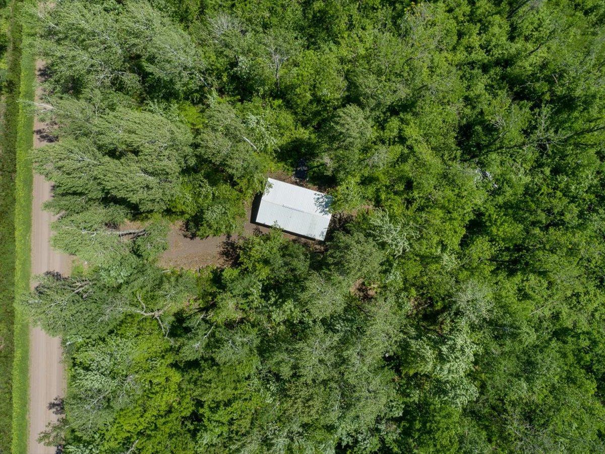 40 acres of trees and wildlife
