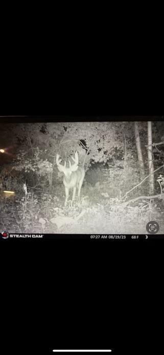 Trail Cam