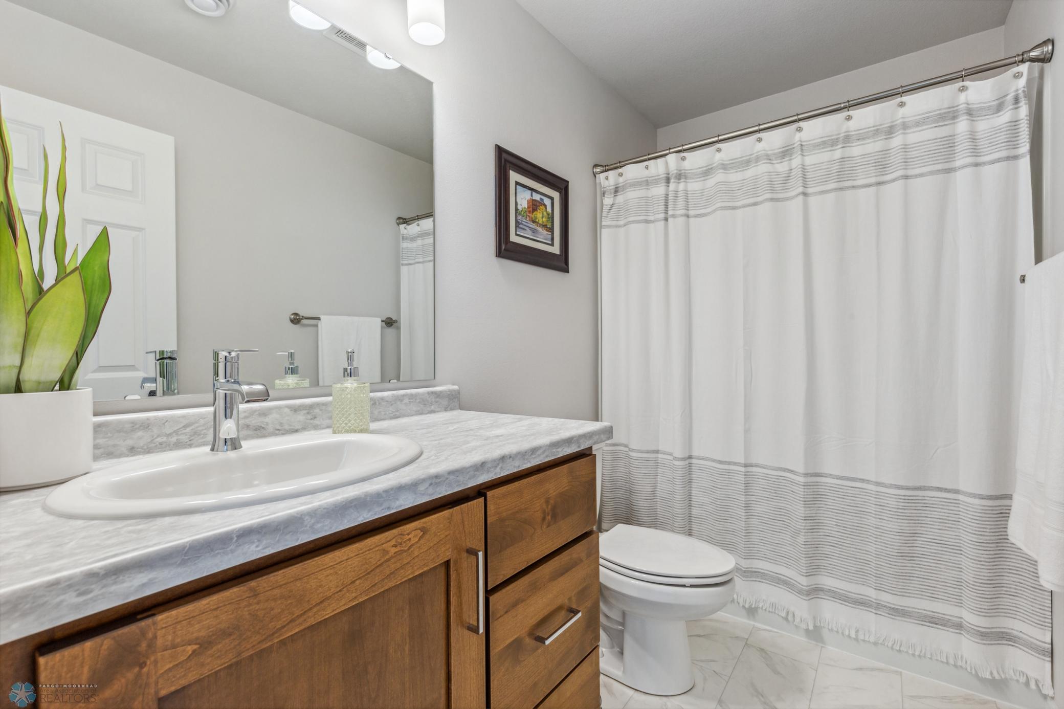 Lower Level Bathroom