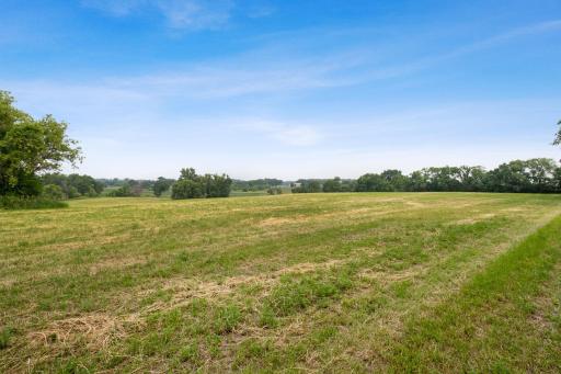xxx Stevens Street SW, Watertown, MN 55388