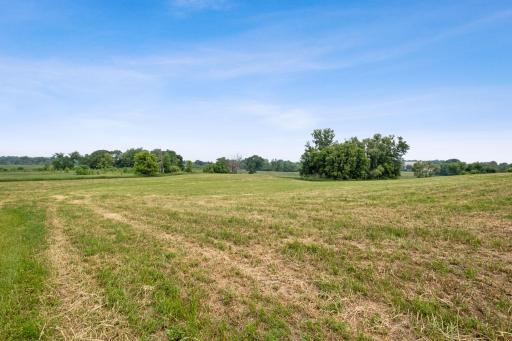 xxx Stevens Street SW, Watertown, MN 55388