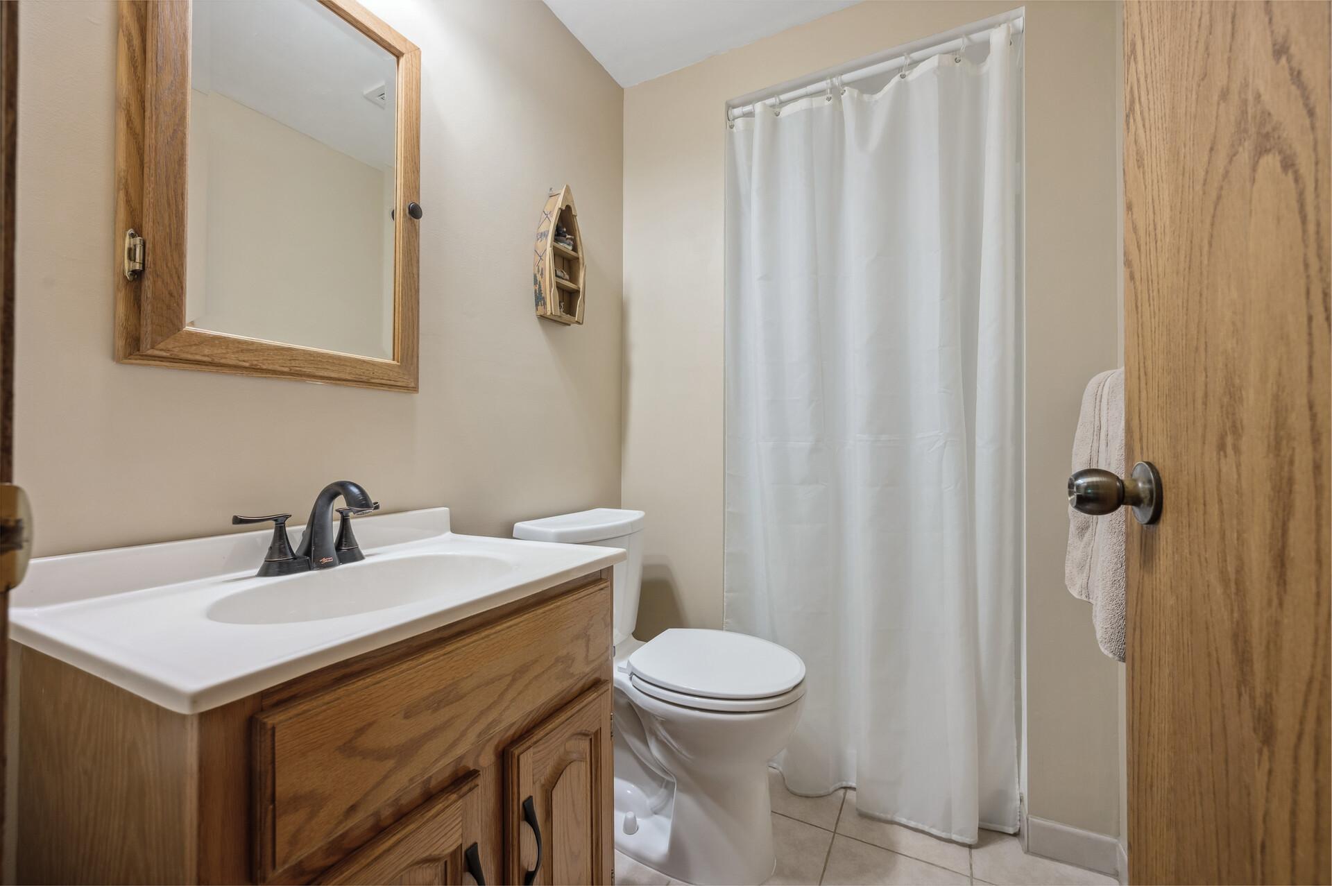 Lower Level Bathroom