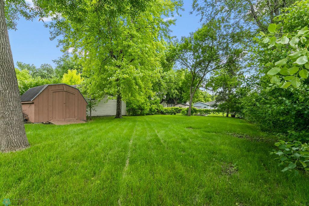 Back yard