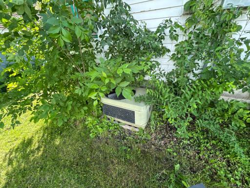 612 Oscar Avenue N, Canby, MN 56220