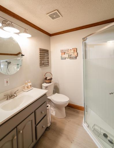 Lower level 3/4 bathroom right outside the 4th bedroom.