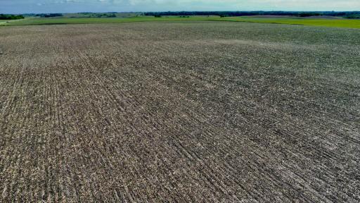 dji_fly_20240609_173912_203_1717972765436_photo_optimized.jpg
