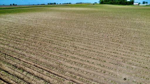 dji_fly_20240609_173846_202_1717972751394_photo_optimized.jpg