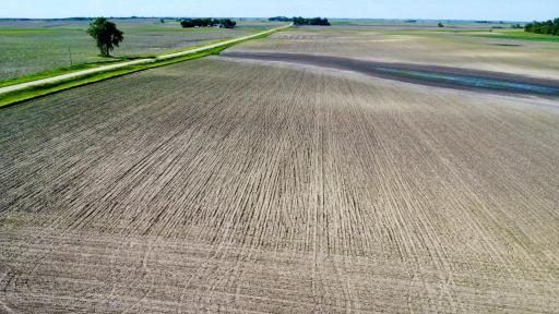 dji_fly_20240609_173218_192_1717972349157_photo_optimized.jpg