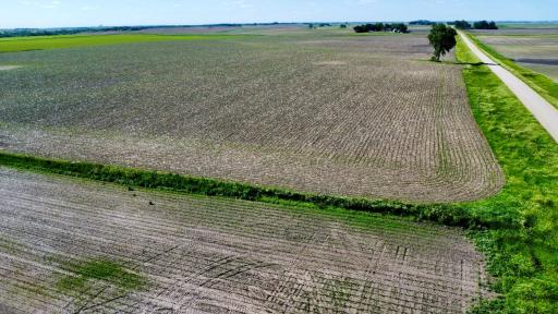 dji_fly_20240609_173238_193_1717972368535_photo_optimized.jpg