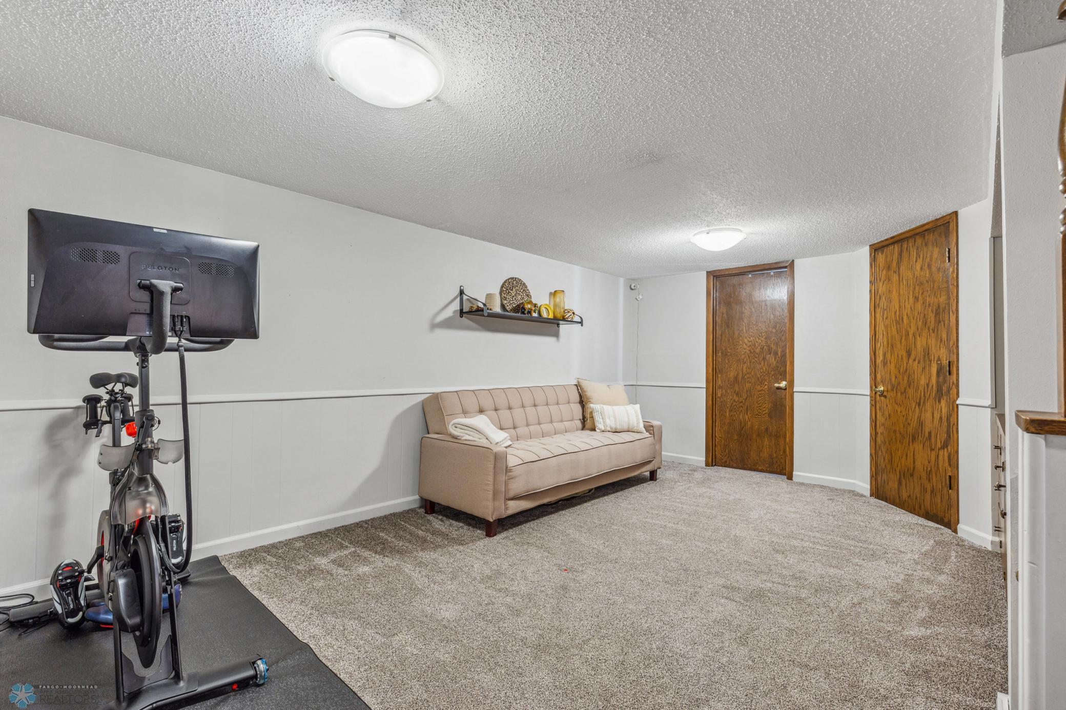 Basement Family Room