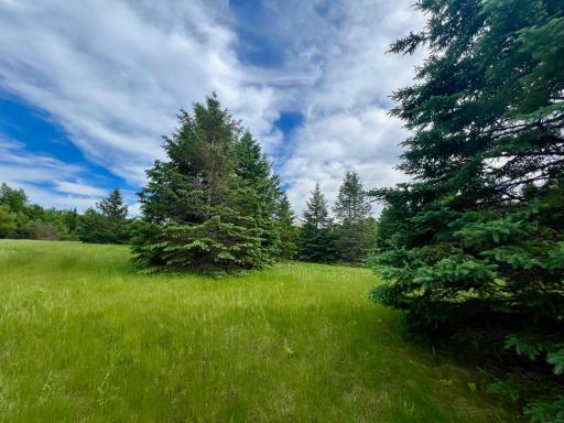 6281 County 4 NE, Remer, MN 56672
