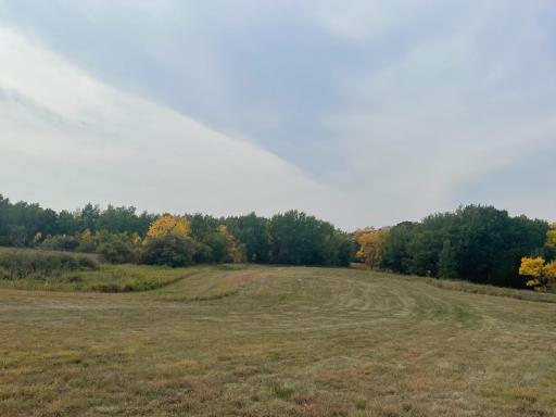 XXX 580th Avenue, Parkers Prairie, MN 56361