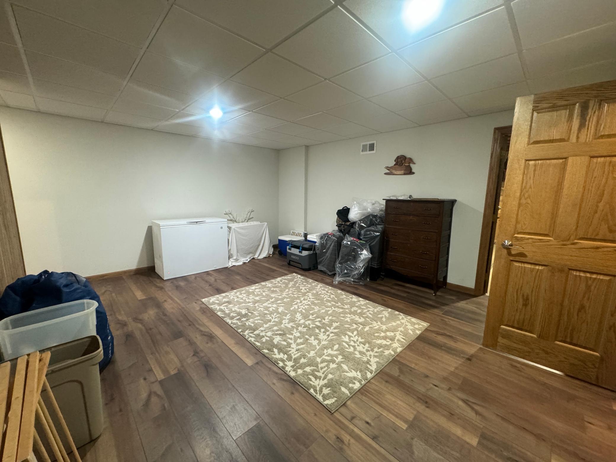 Basement Family Room
