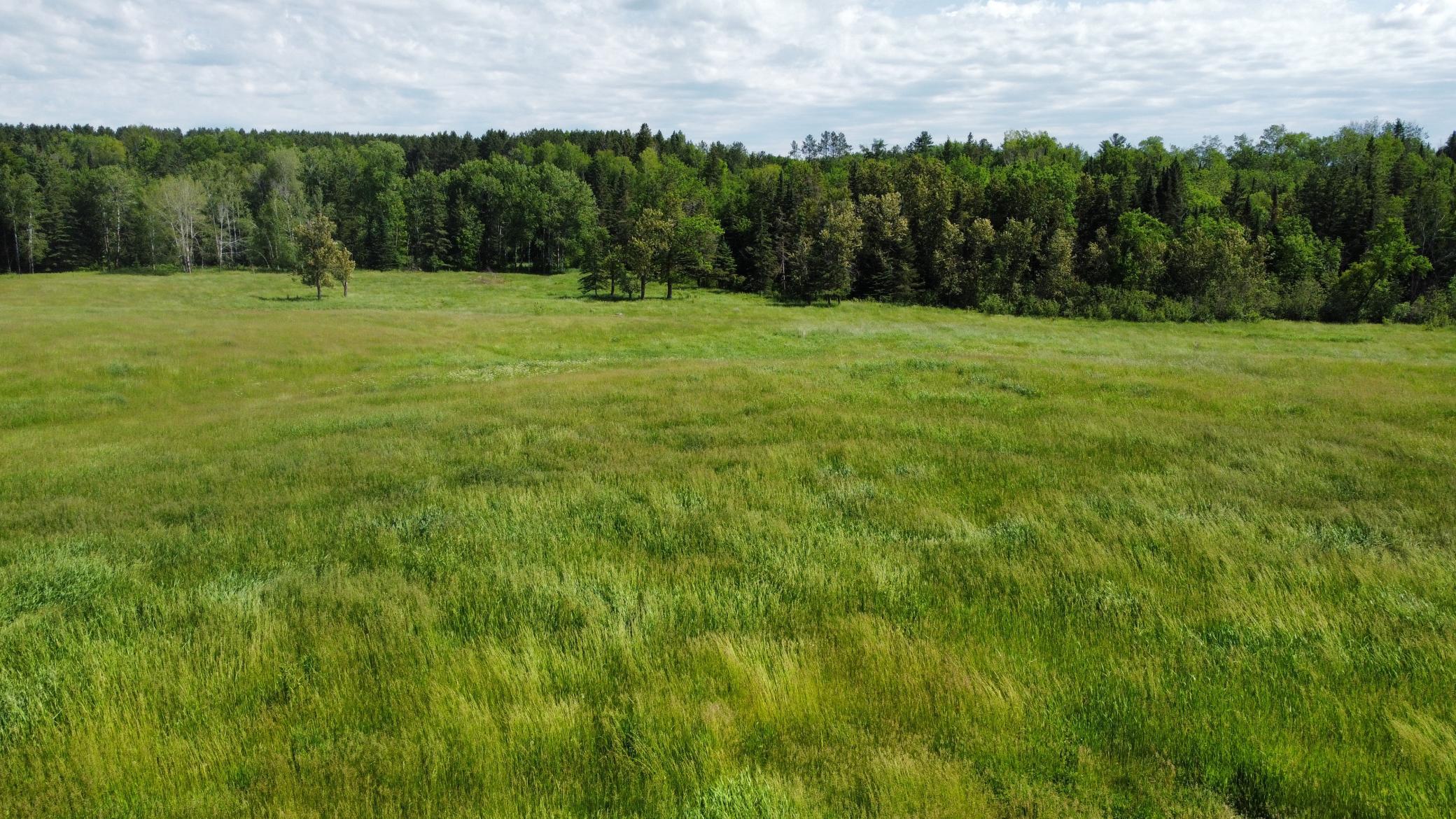 Open and Wooded 40 Acres!