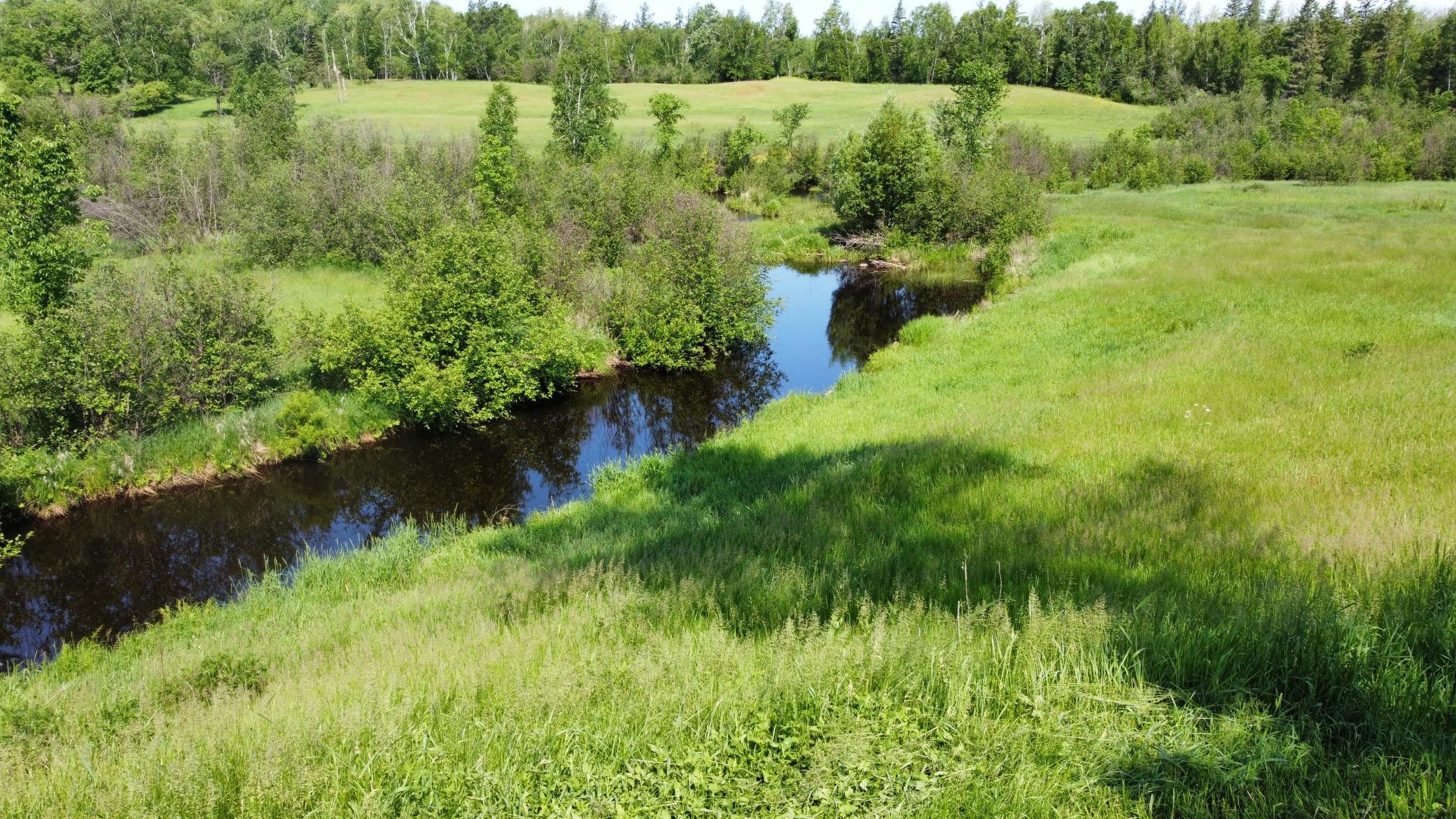 View of the West Fork of the Moose Horn River