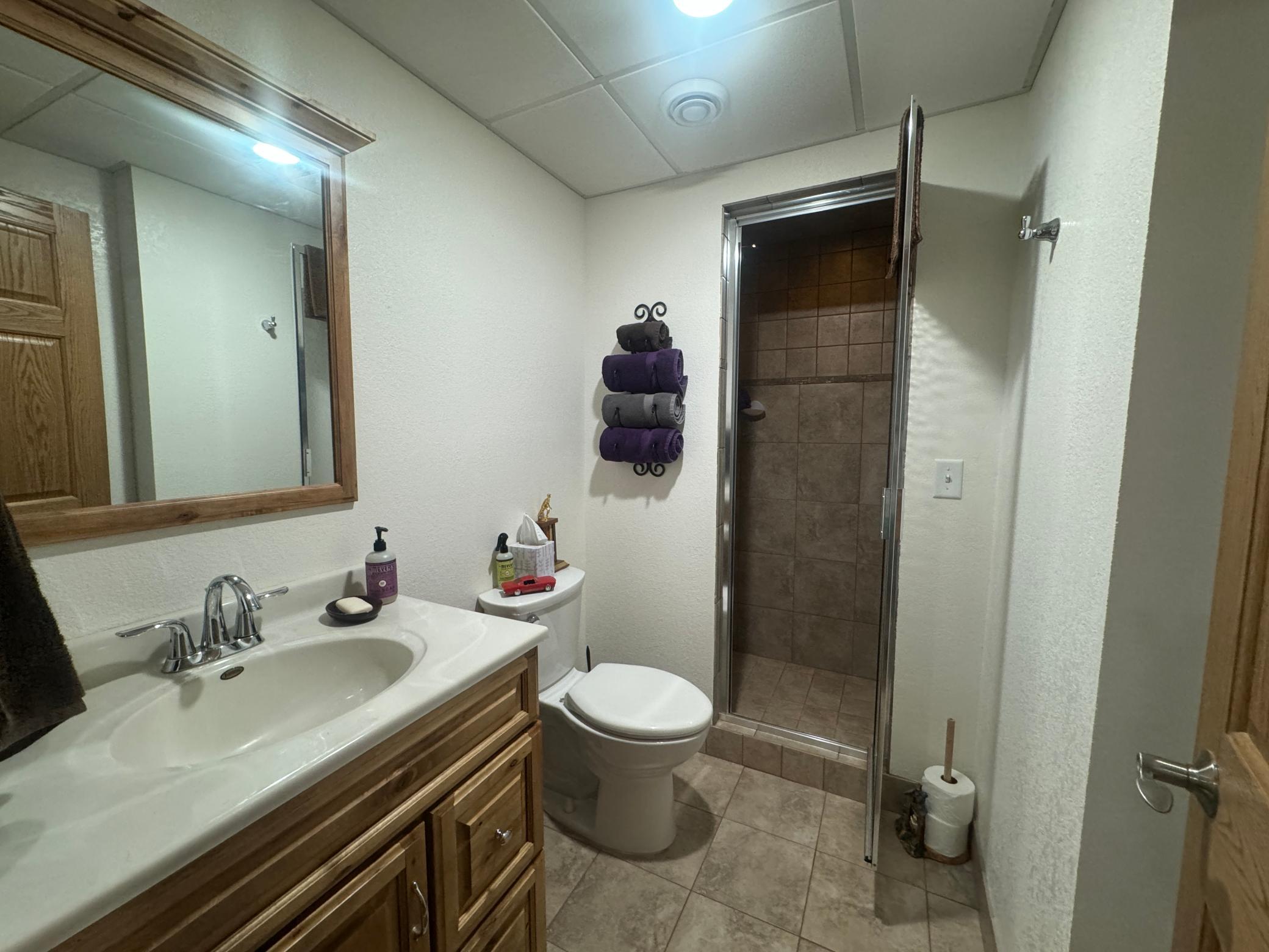 Basement 3/4 Bath with Steam Shower