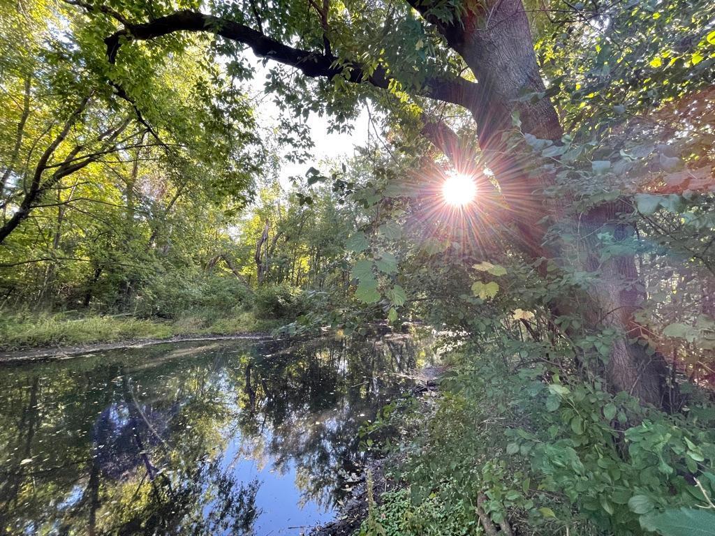 Minnehaha Creek at Sunset - Photo taken from Backyard