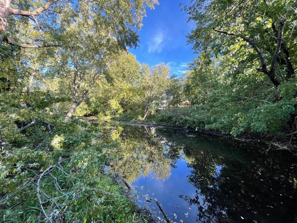 Minnehaha Creek - Photo taken from Backyard