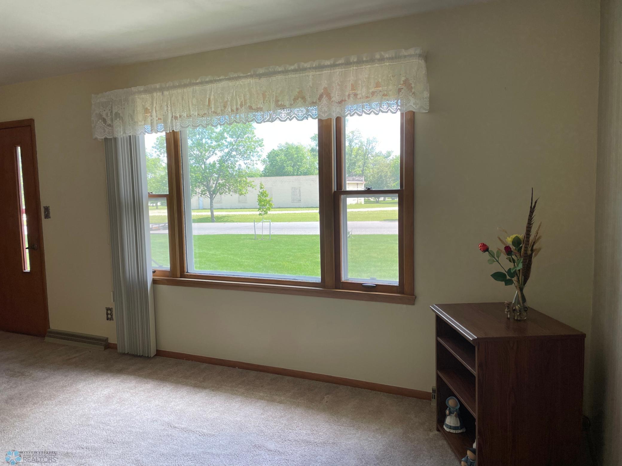 Sunny living room window