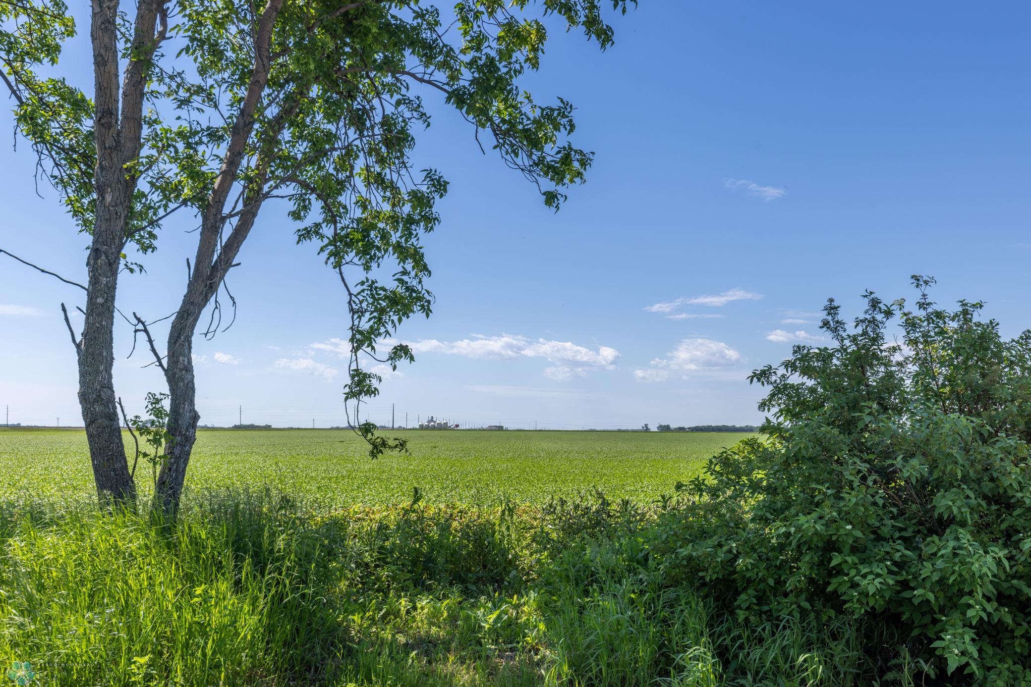 1841 46th Ave S Moorhead-11.jpg