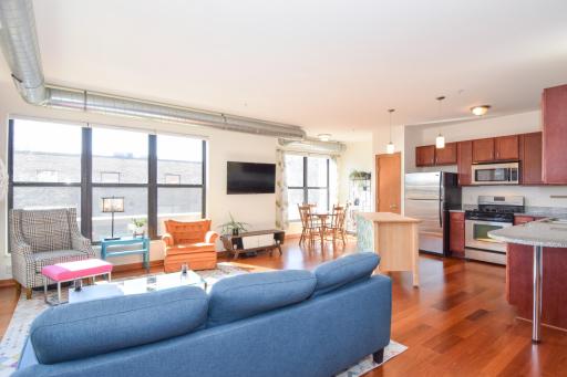 15 E Franklin Avenue, 201, Minneapolis, MN 55404