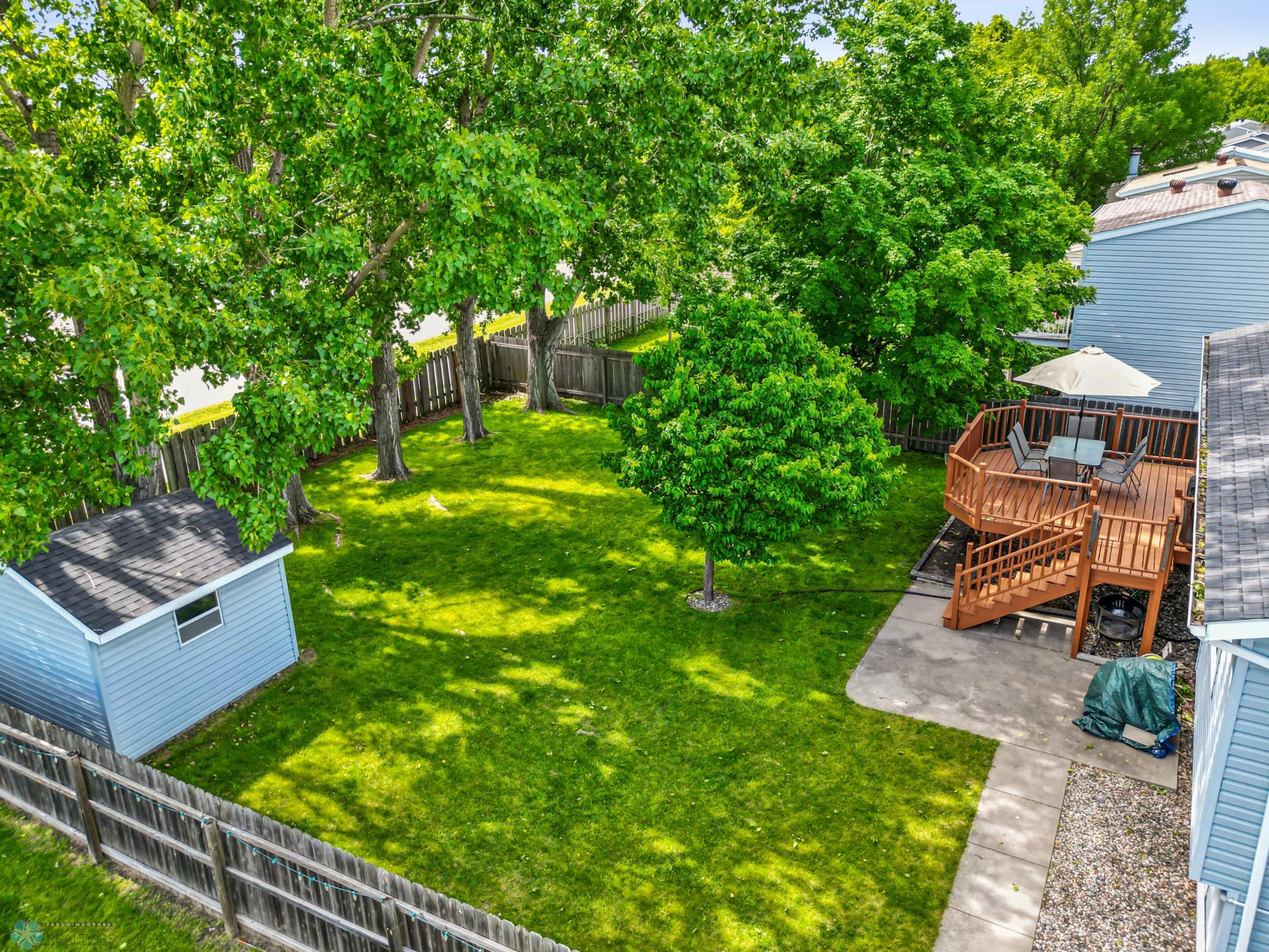 Backyard- Mature Trees for Privacy