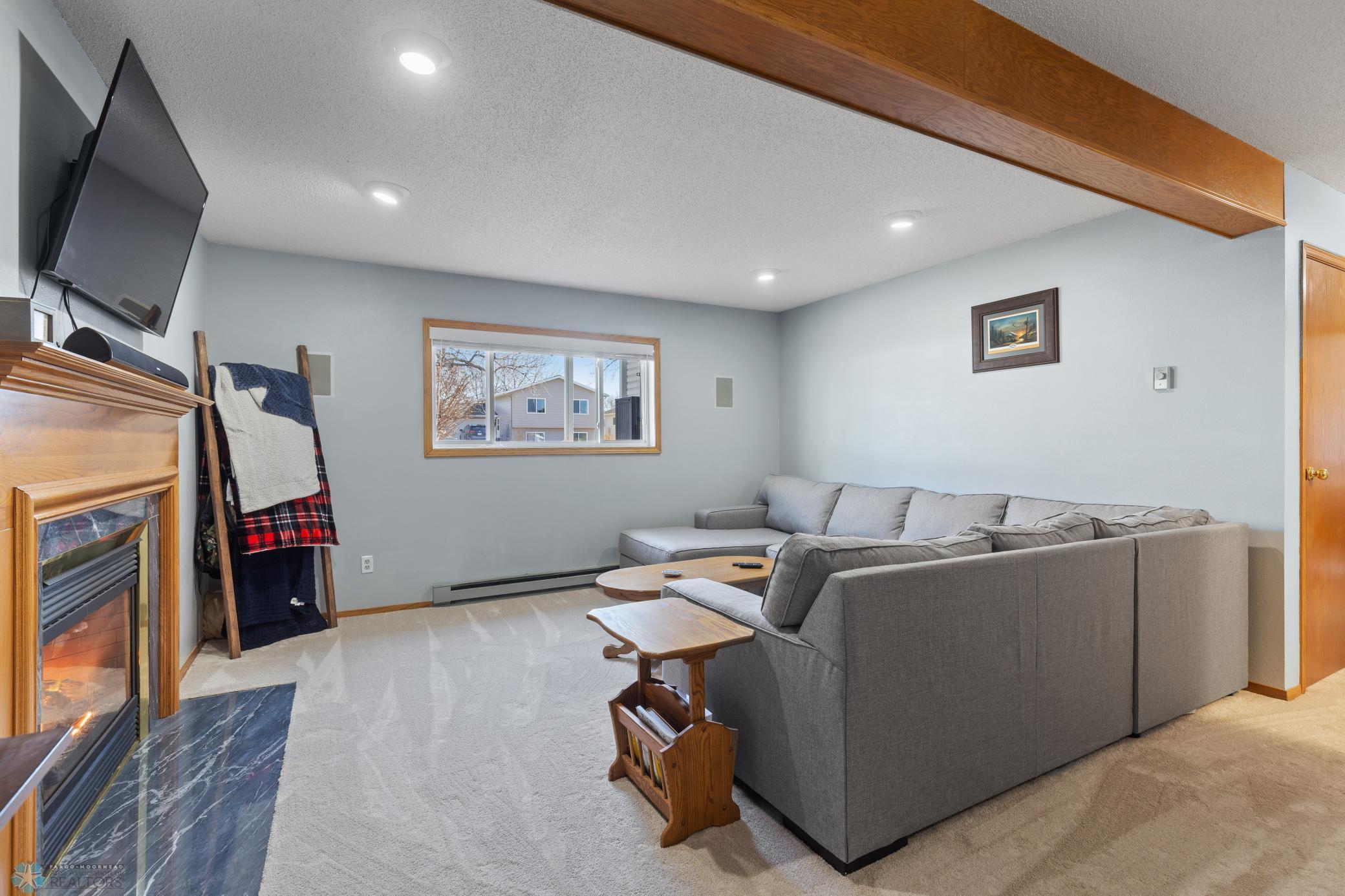 Lower Level Living Room