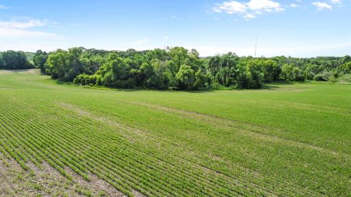 XXXX Town Line Road, Loretto, MN 55357